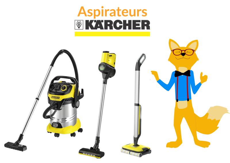 bissell alternative dyson et karcher
